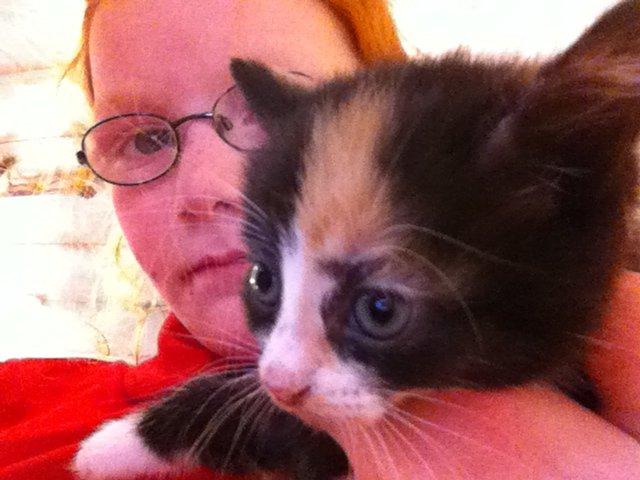 Huskat Mini, mis<3 billede 6