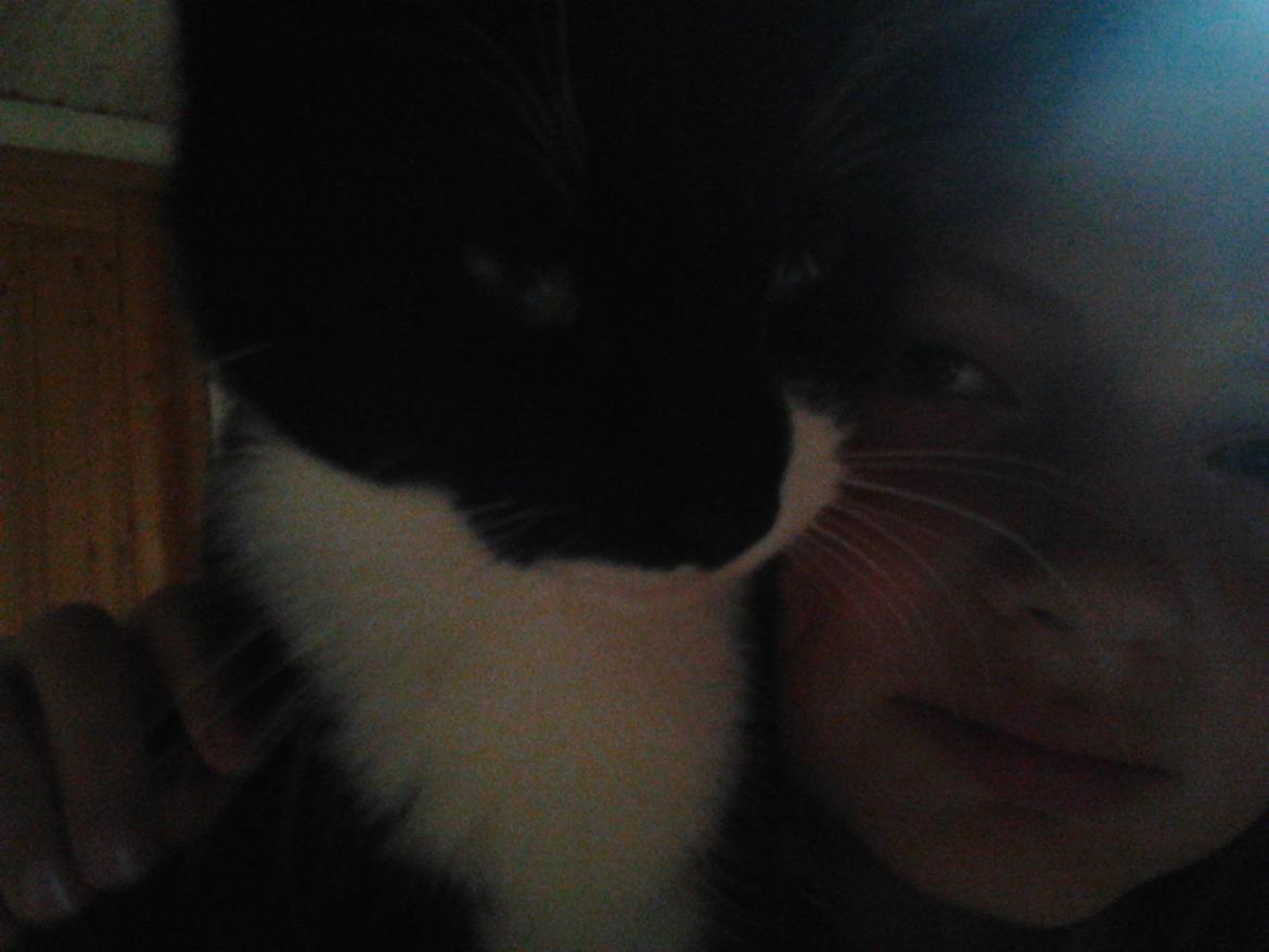 Huskat Tarzan billede 2