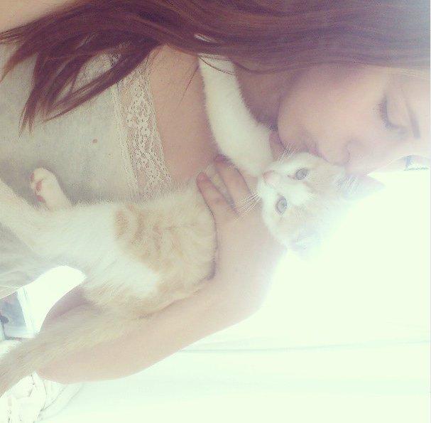 Blanding af racer Felix billede 6