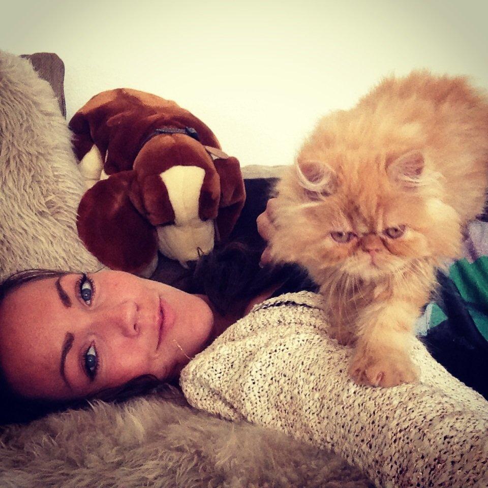 Perser Misty Brown's Lucky Luke aka' Garfield billede 11