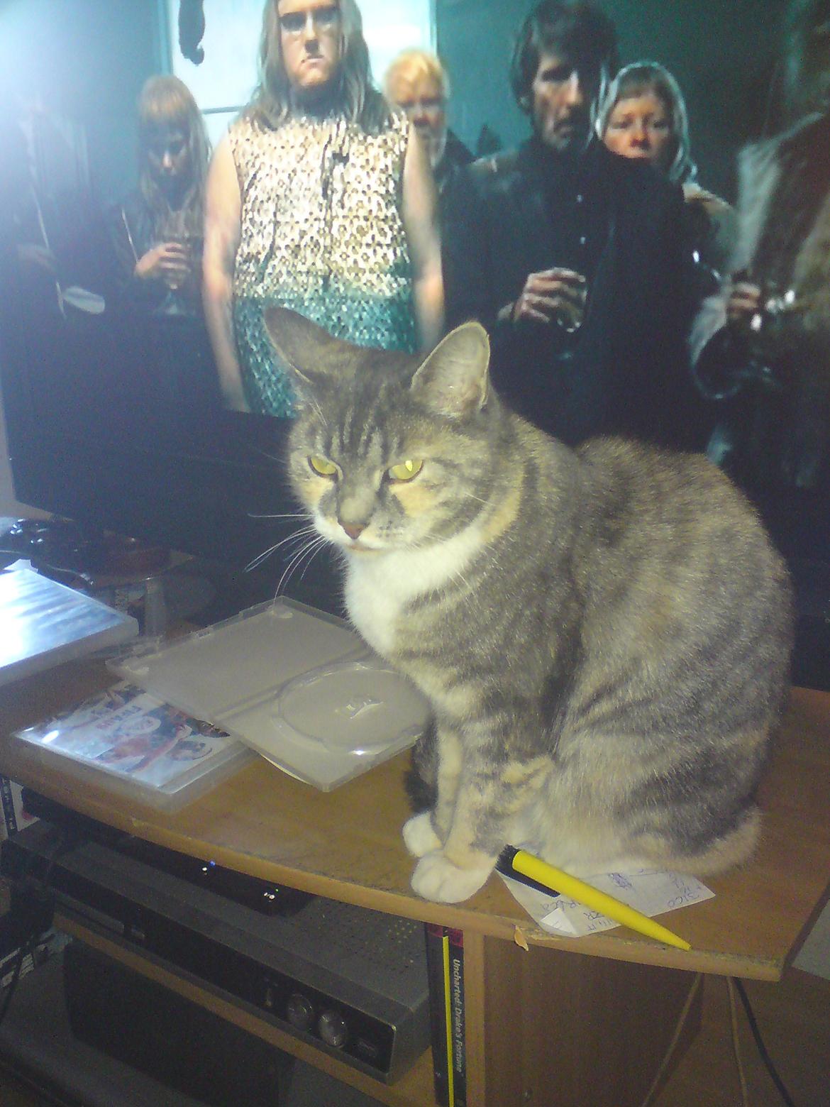 Huskat Sille - Morgen frisk. billede 3