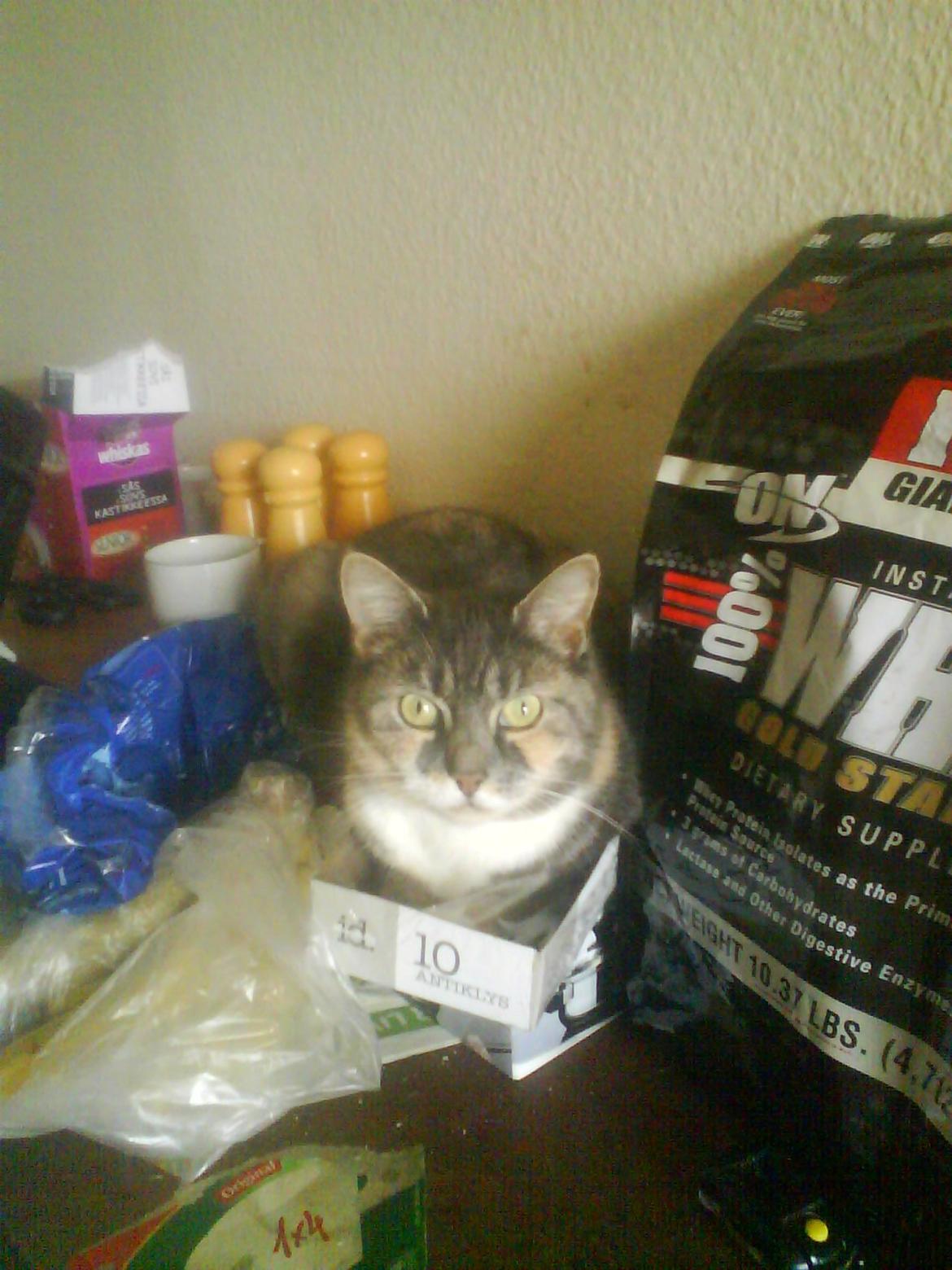 Huskat Sille - Altid plads. billede 4