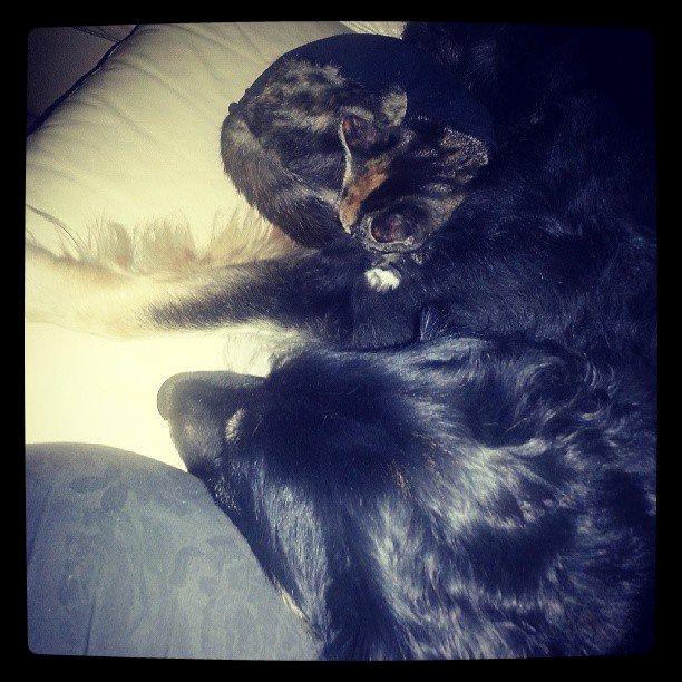 Huskat Lille billede 6