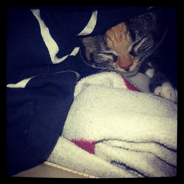 Huskat Lille billede 8