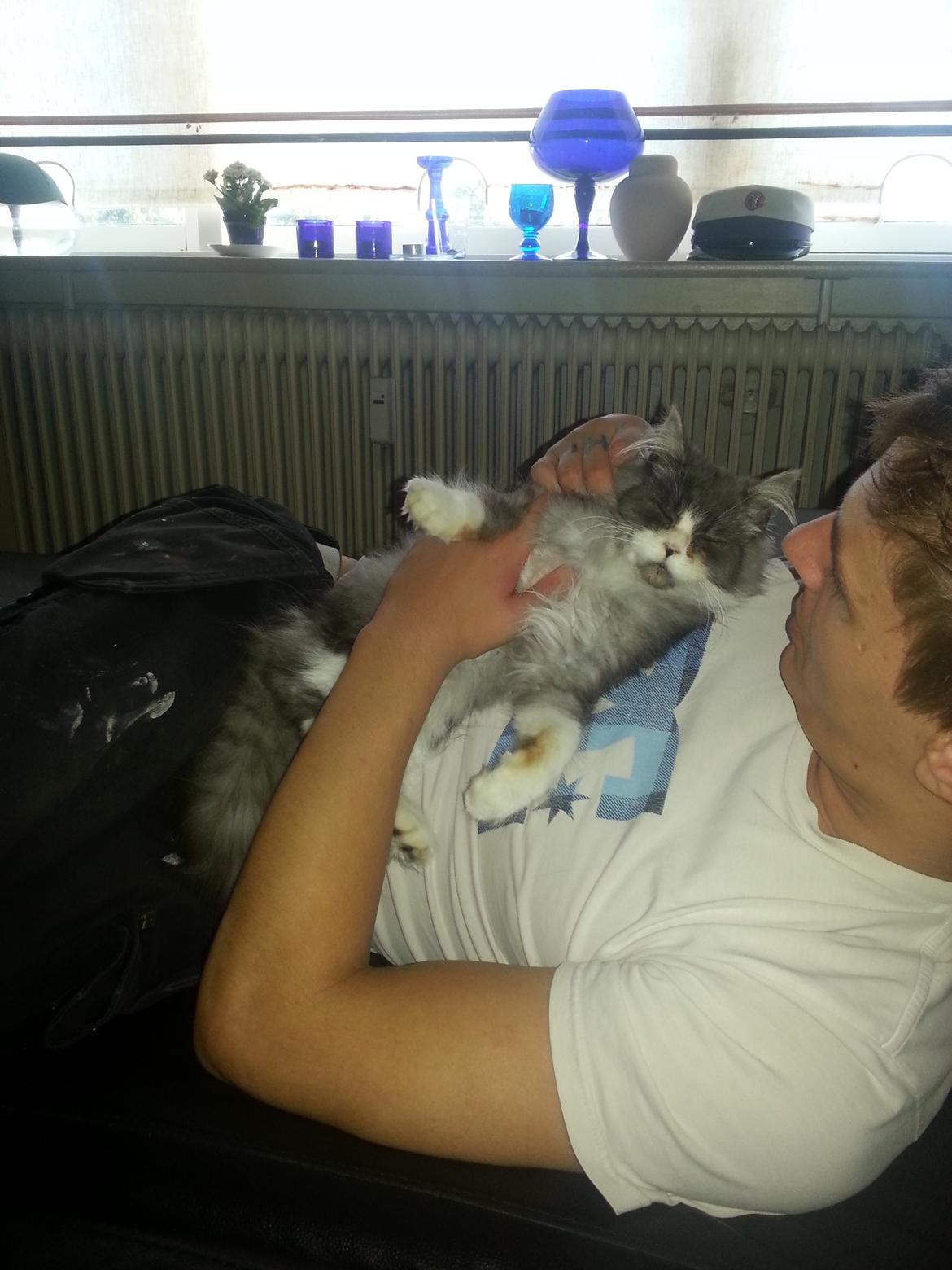 Blanding af racer Fluffy<3 R.I.P - <3 billede 5