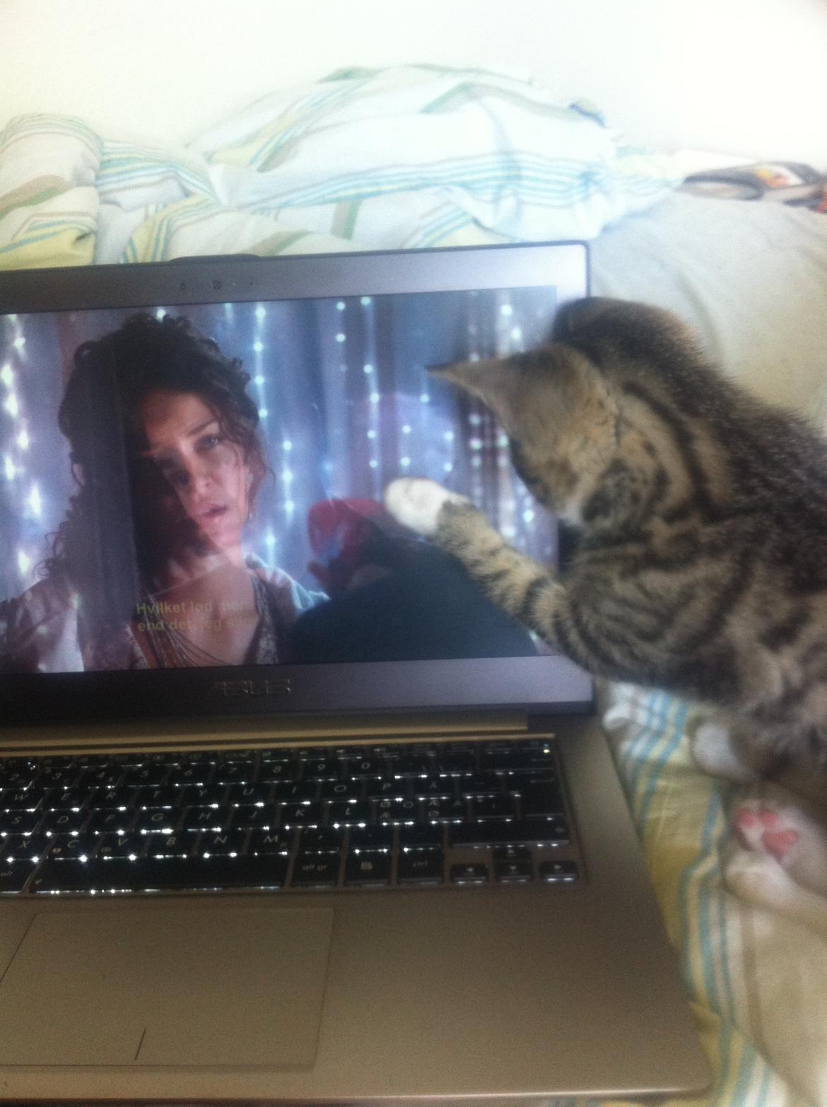 Manx Diega - SÅ hyggeligt at se Gossip Girl med moooar (L) billede 11