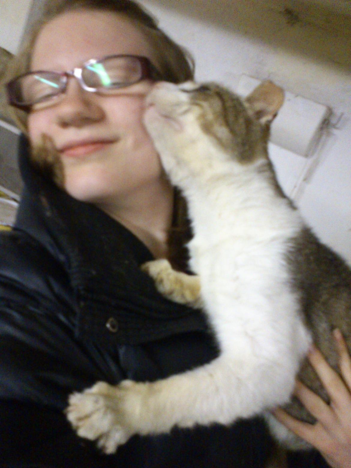 Huskat Gråmis - Mmh, jeg får lige et kindkys af min pus <3 billede 1