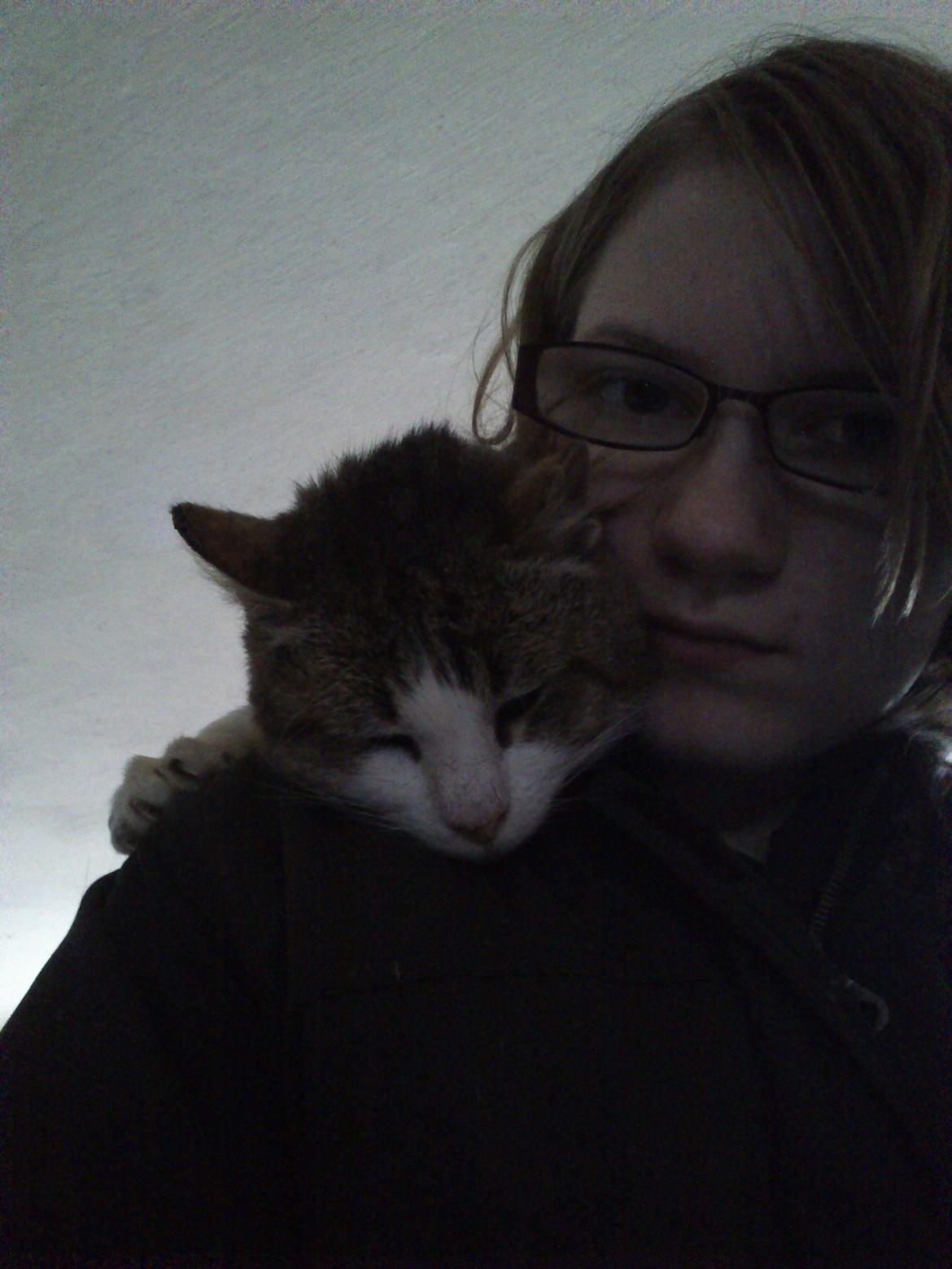 Huskat Gråmis - Seri I, jeg havde fået mig en ny smart rygsæk, der hedder Grå! Han havde fundet ud af, at han kunne være i hætten på min jakke, så der lagde han sig til at sove.  billede 4