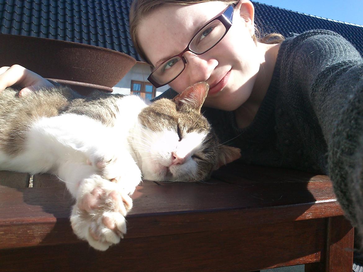 Huskat Gråmis - Vi sidder og hygger ude i gårdspladsen! billede 12