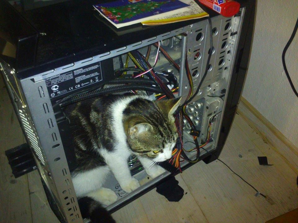 Blanding af racer Mis 2. - det nyeste bundkort man kan få :) billede 6