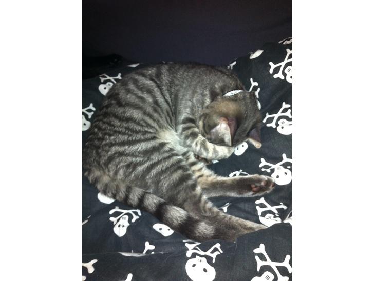 {{currentPhoto.altText}} billede {{currentPhoto.number}}