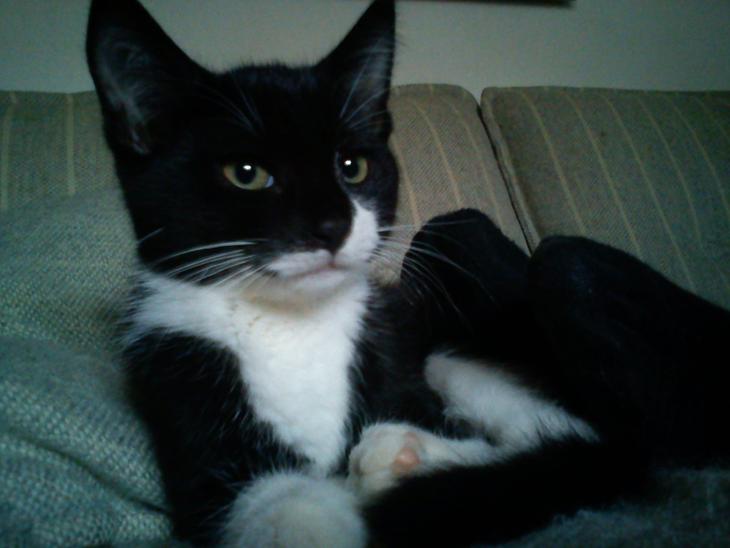 {{currentPhoto.altText}} billede {{currentPhoto.number}}