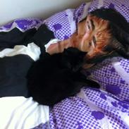 Blanding af racer Røde