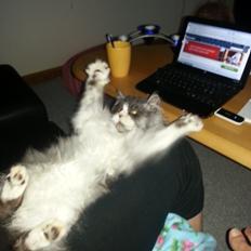 Blanding af racer Fluffy<3 R.I.P