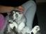 Blanding af racer Fluffy<3 R.I.P - <3