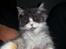 Blanding af racer Fluffy<3 R.I.P - <3