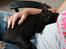 Huskat Nox - Velkommen til Nox's profil. 08-08-2013