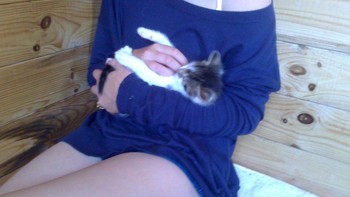 Huskat Anton (mandsen) Den charmerende fyr. - 4) Er du en lille baby? Haha<3
Taget af: Miig billede 4