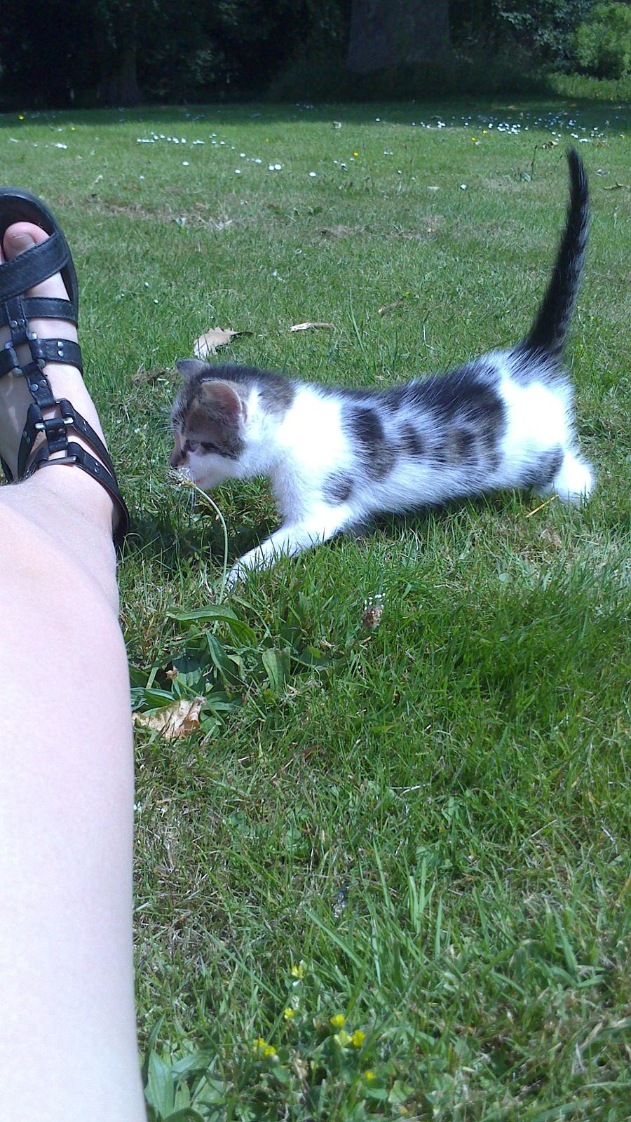 Huskat Anton (mandsen) Den charmerende fyr. - 12) <3
Taget af: Miig billede 13