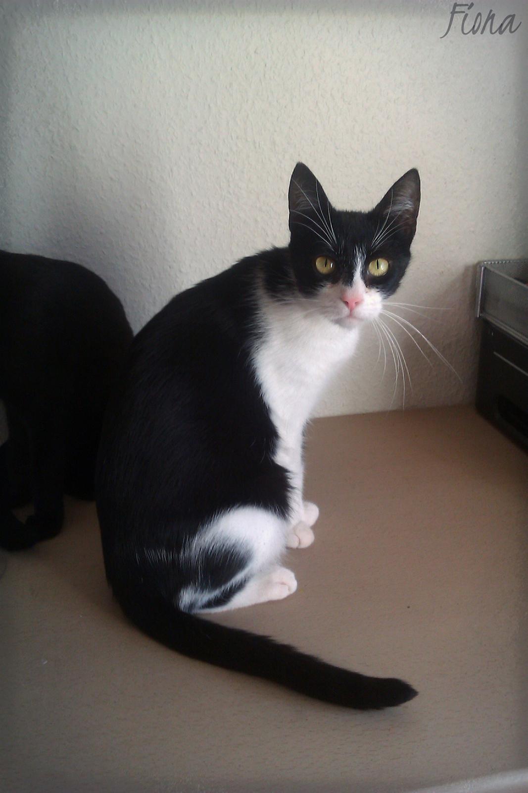 Huskat ~ Fiona † ** Sov sødt min elskede skat <3** billede 17