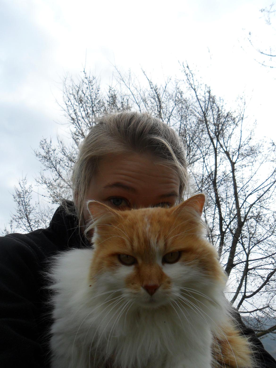 Blanding af racer Roussette billede 17