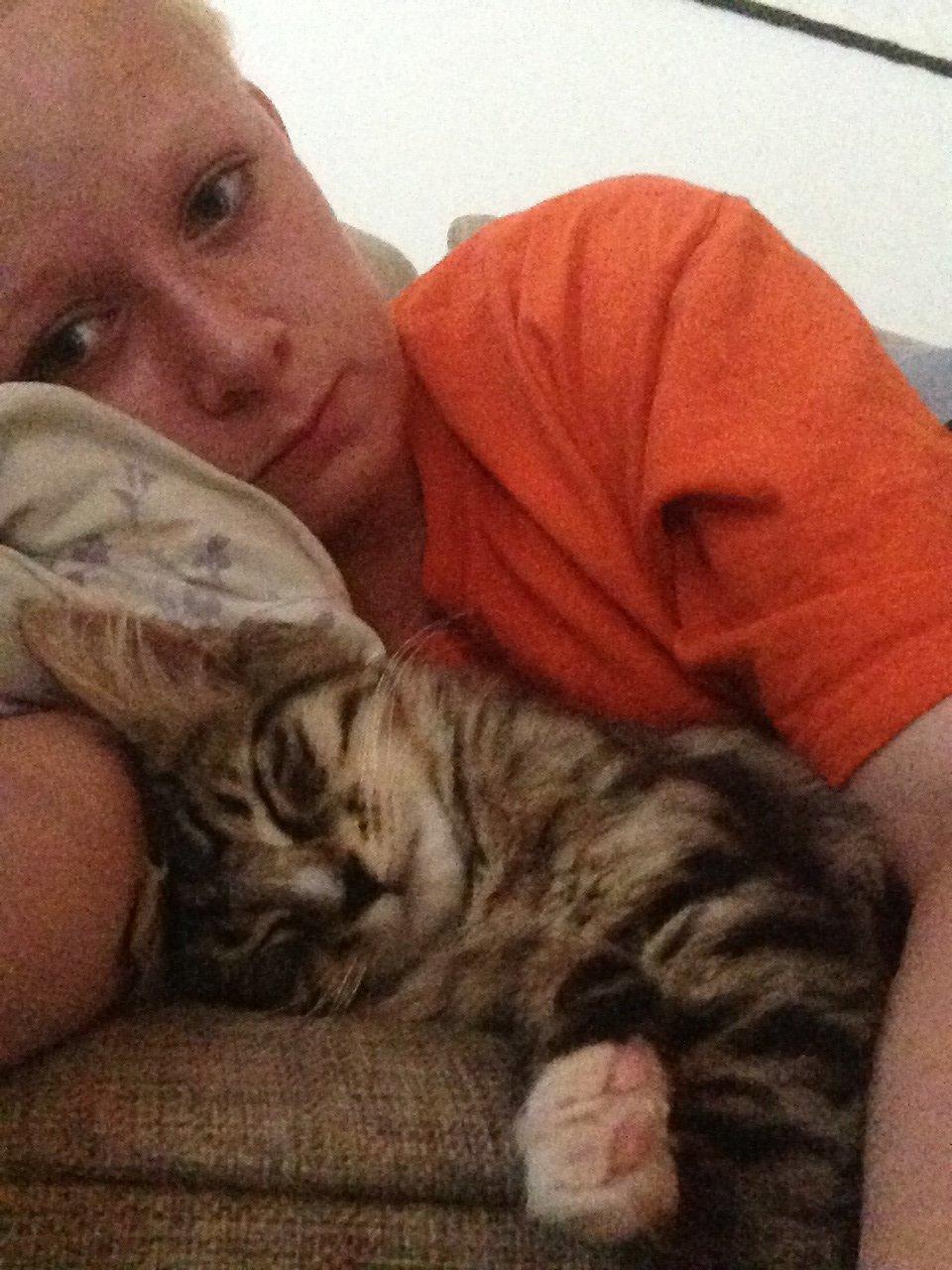 Maine Coon Vuk billede 17