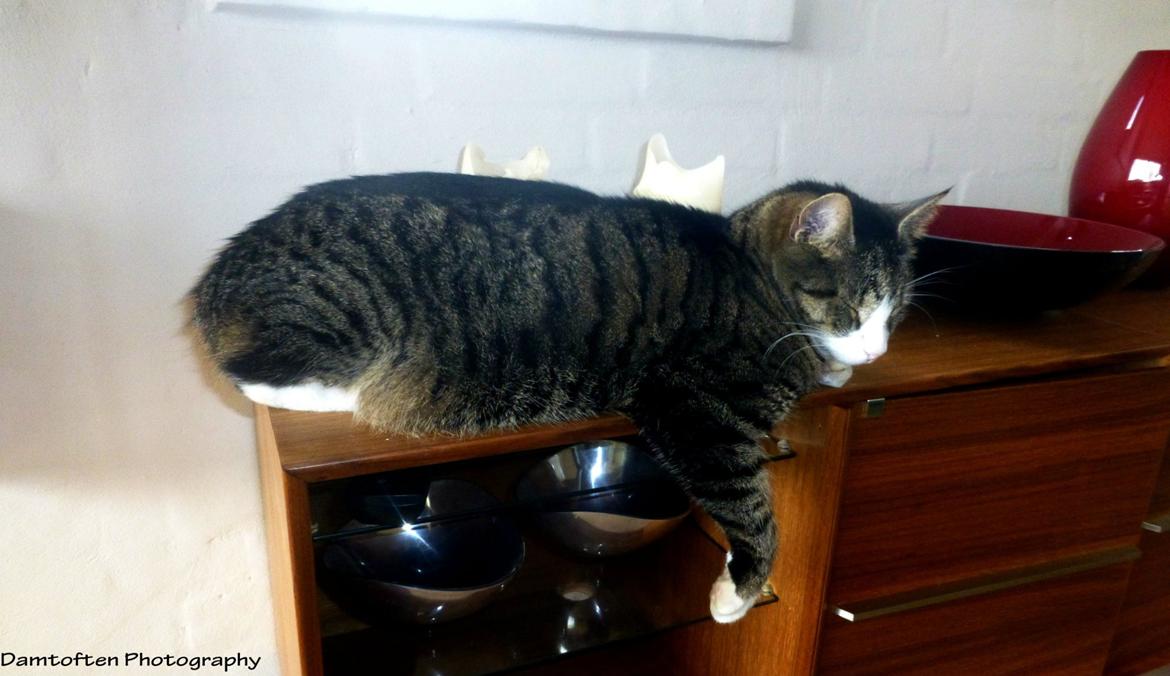 Huskat Nuller billede 21