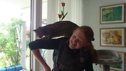 Huskat Tiger mis :) billede 17