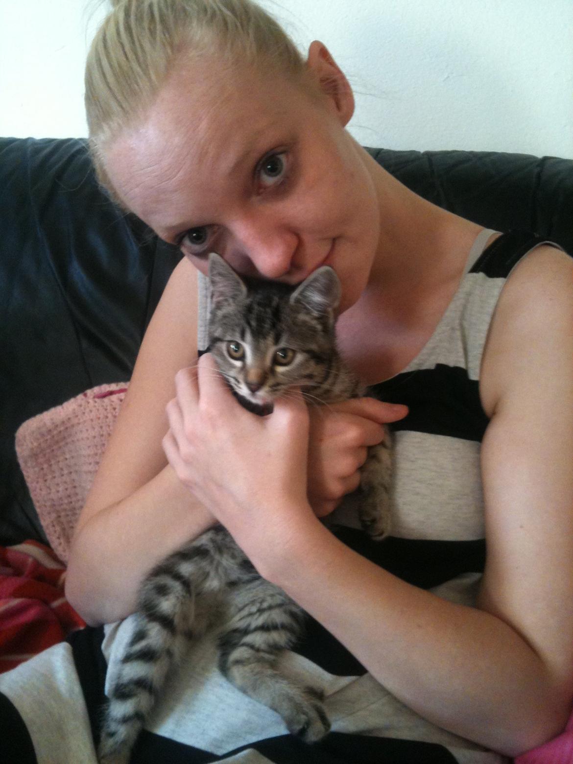 Huskat Dooley billede 6