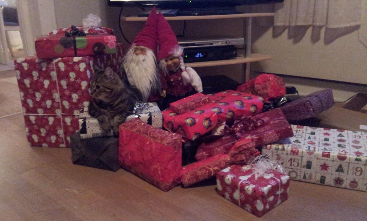 Huskat Rambo - Det alle sammen mine gaver :D (jul 2011) billede 10