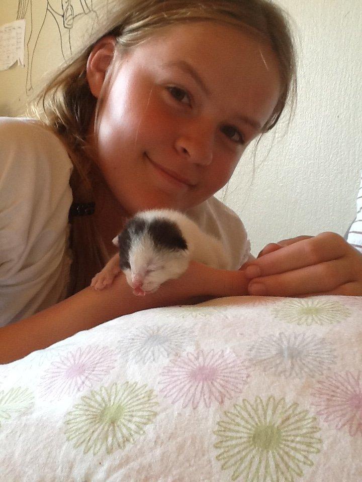 Blanding af racer Zack billede 3