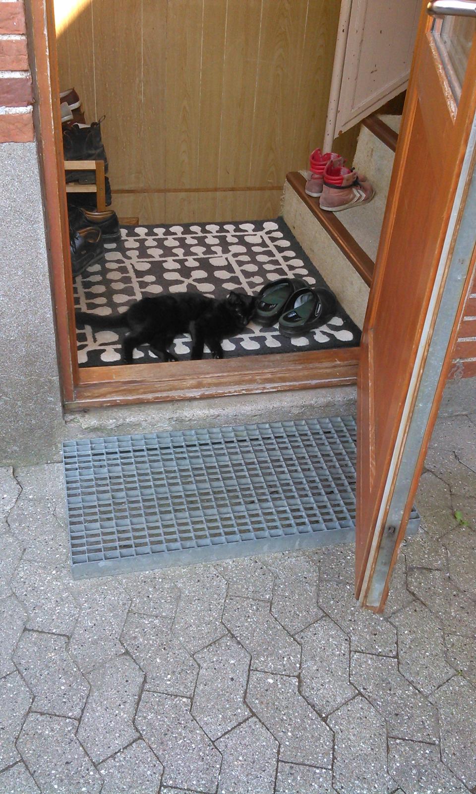 Huskat Mariska - Tak fordi i kiggede forbi! :) billede 14