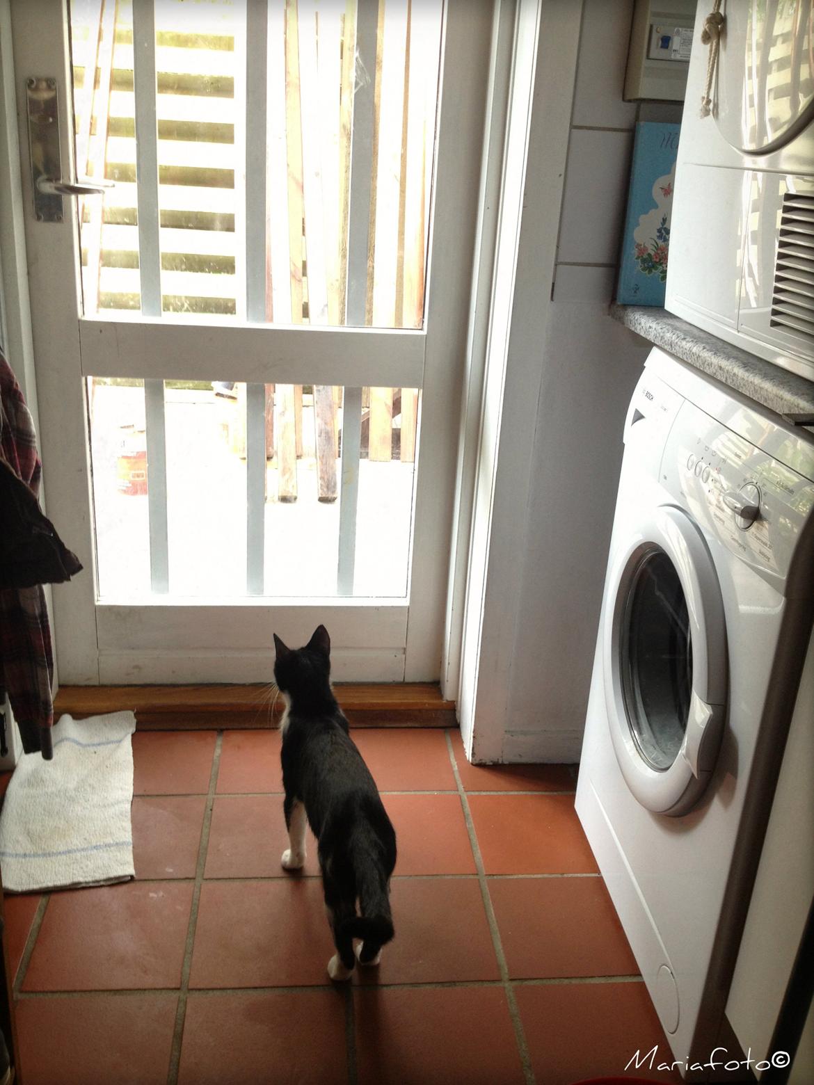 Huskat ~ Fiona † ** Sov sødt min elskede skat <3** billede 27