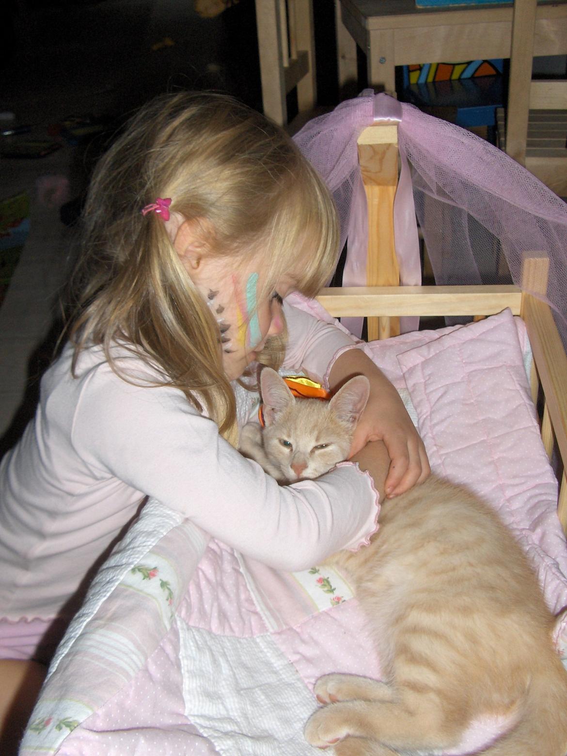 Huskat Lion (Løven) billede 13