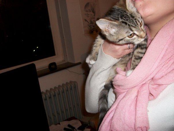 Blanding af racer Nel. billede 6