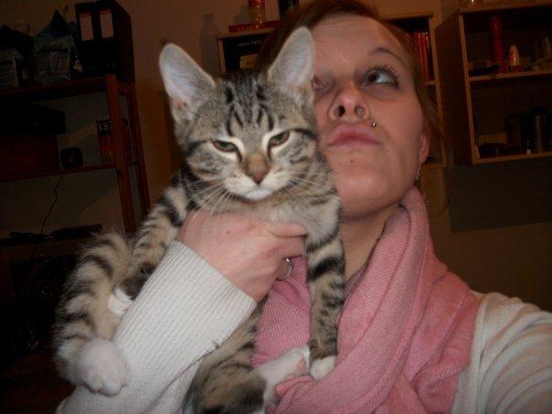 Blanding af racer Nel. billede 7