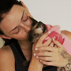 Sphynx Isabella *BABY*