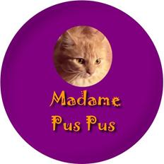 Maine Coon PusPus