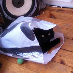 Blanding af racer Gunnar