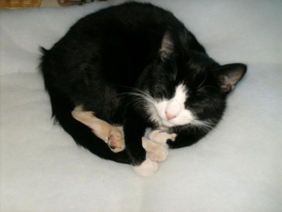 Huskat Babie - Mor siger jeg er så dejlig :-) billede 3