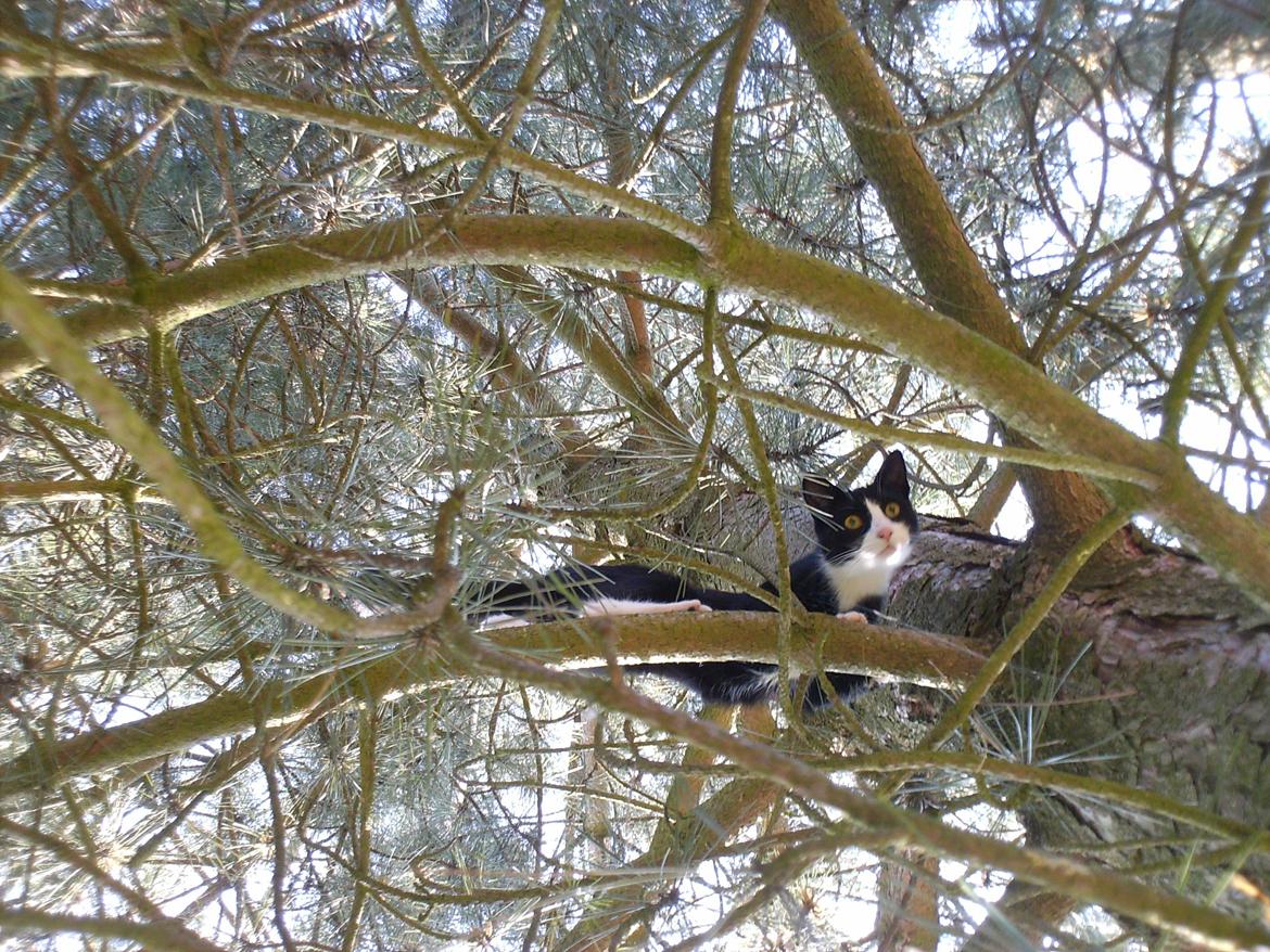 Huskat Babie - Uh der er sørme langt ned her . billede 5