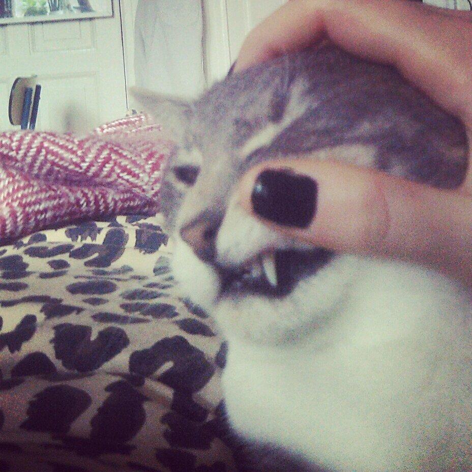 Huskat Pushkin billede 5