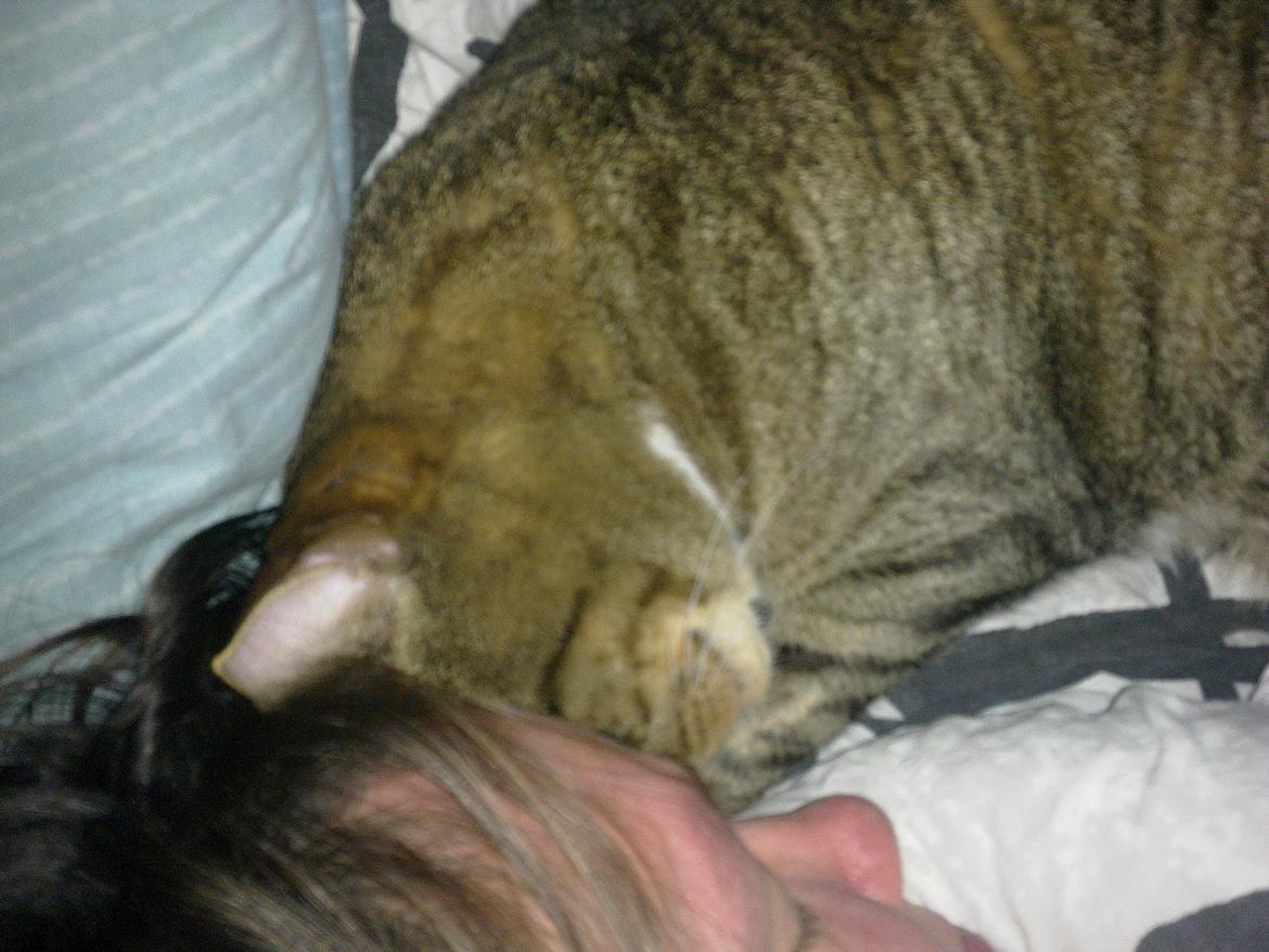 Huskat Muller - sover med mor billede 5