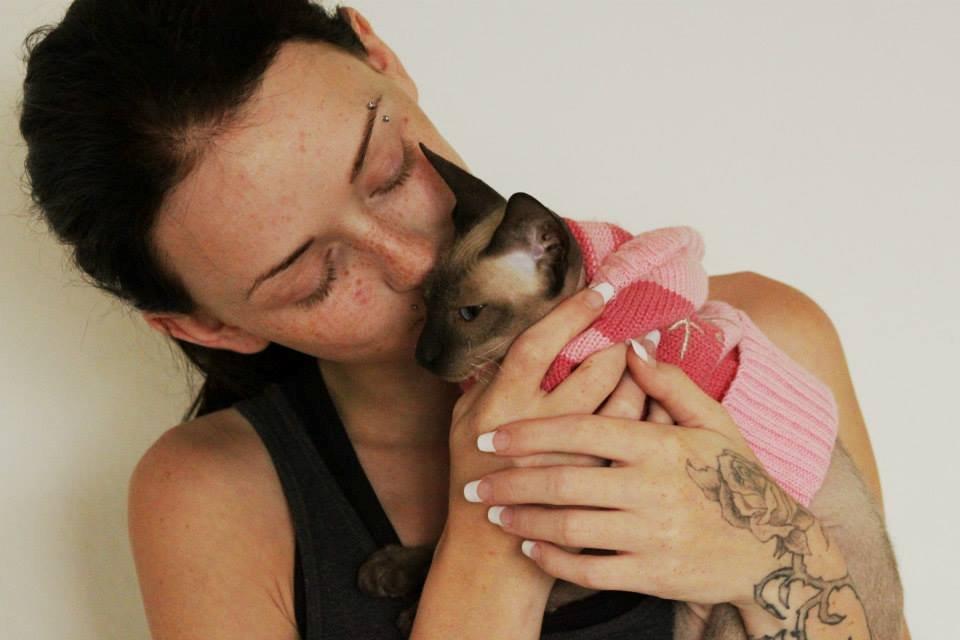 Sphynx Isabella *BABY* billede 3