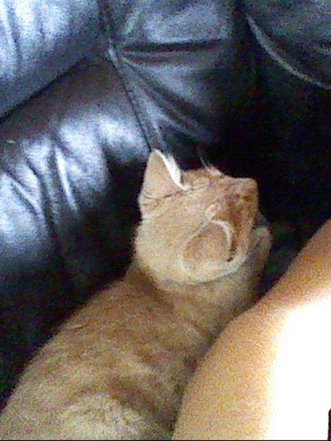 Huskat Anton..<3 billede 4