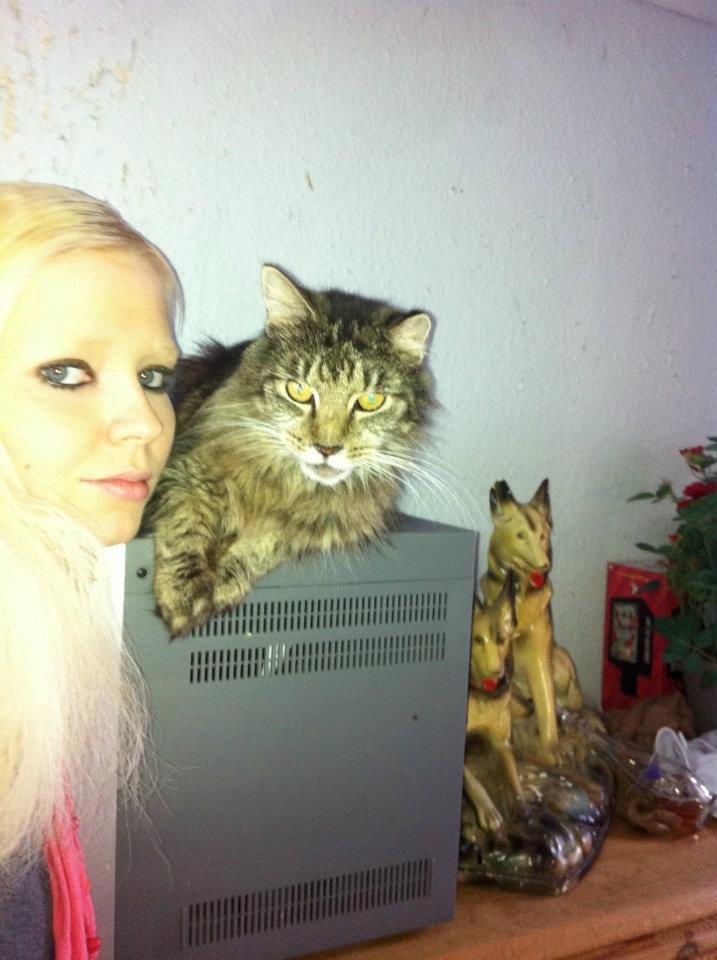 Blanding af racer janni billede 7