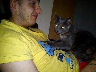 Blanding af racer lille fizzen - så massere vi ;b billede 20