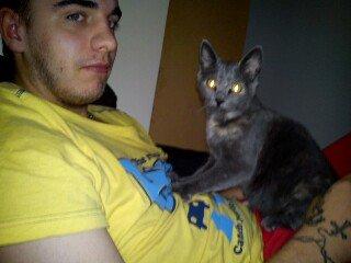 Blanding af racer lille fizzen - far har en perfekt mave at massere :) billede 21