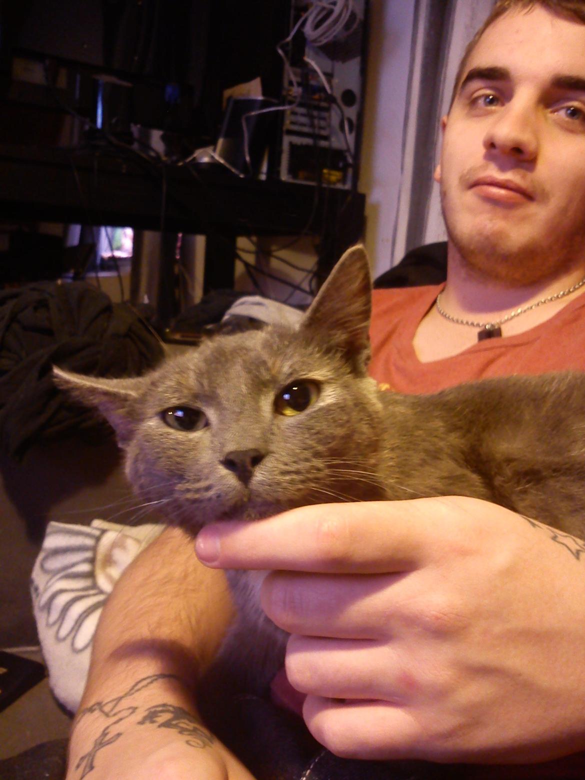 Blanding af racer lille fizzen billede 15