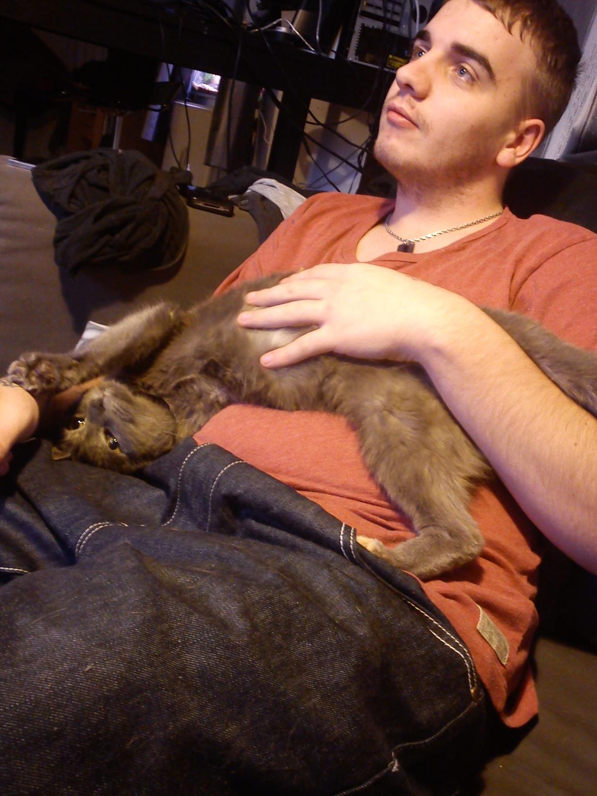 Blanding af racer lille fizzen - fizzen i løbetid ;b billede 16